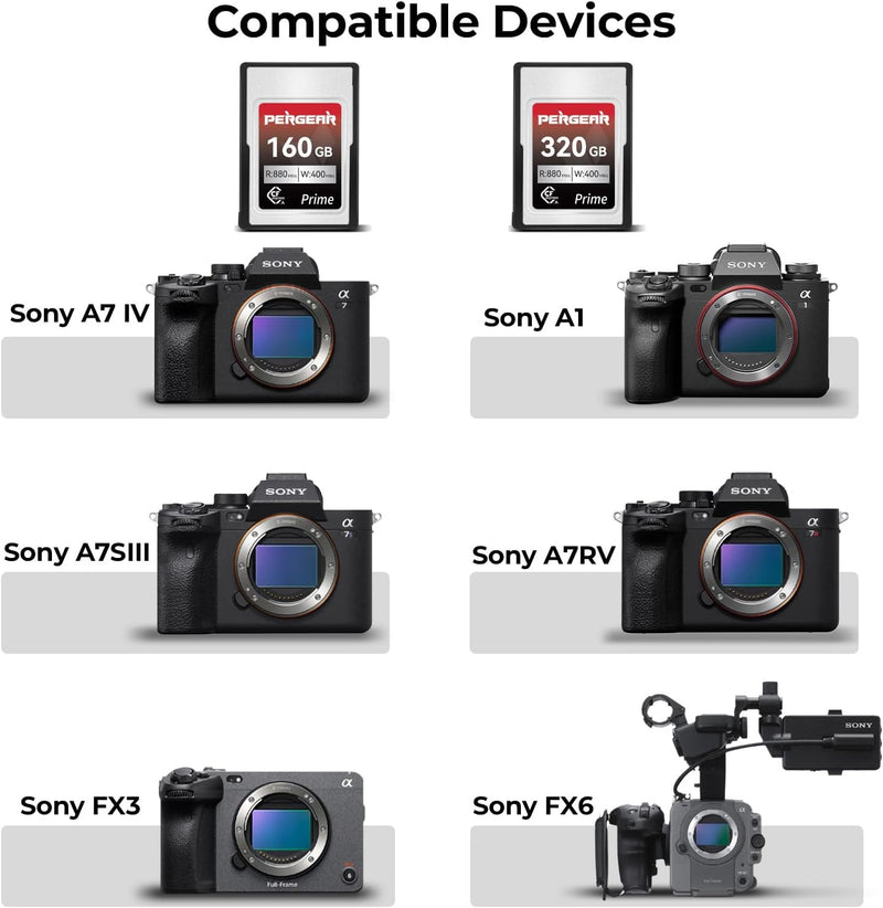 Carte mémoire Pergear Professional CFexpress Type A (320 Go) pour appareils photo Sony