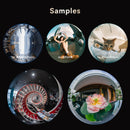 Objectif fisheye circulaire AstrHori MF 8mm F2.4 pour Fujifilm GFX & Hasselblad XCD