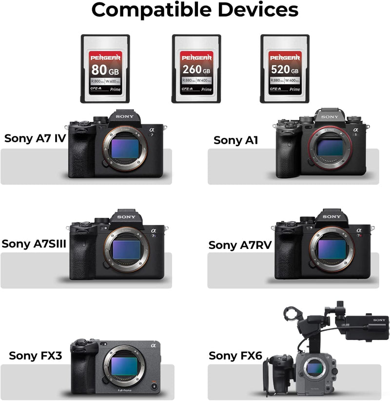Carte mémoire Pergear Professional CFexpress Type A (260 Go) pour Sony appareils photo