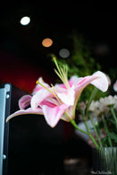 PERGEAR 35 mm F1.4 Objectif à mise au point manuelle plein format Angle de vision de 63,2°