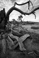 Pergear 14 mm F2.8 II Objectif manuel plein format pour appareils photo Sony, Nikon, Canon, Leica