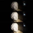 Godox Ving V860III Speedlight TTL Kit Flash pour appareils photo Canon, Sony, Fuji et Nikon