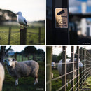 TTArtisan 50 mm F0.95 Objectif manuel pour appareils photo Fuji, Sony, M4/3 et Nikon